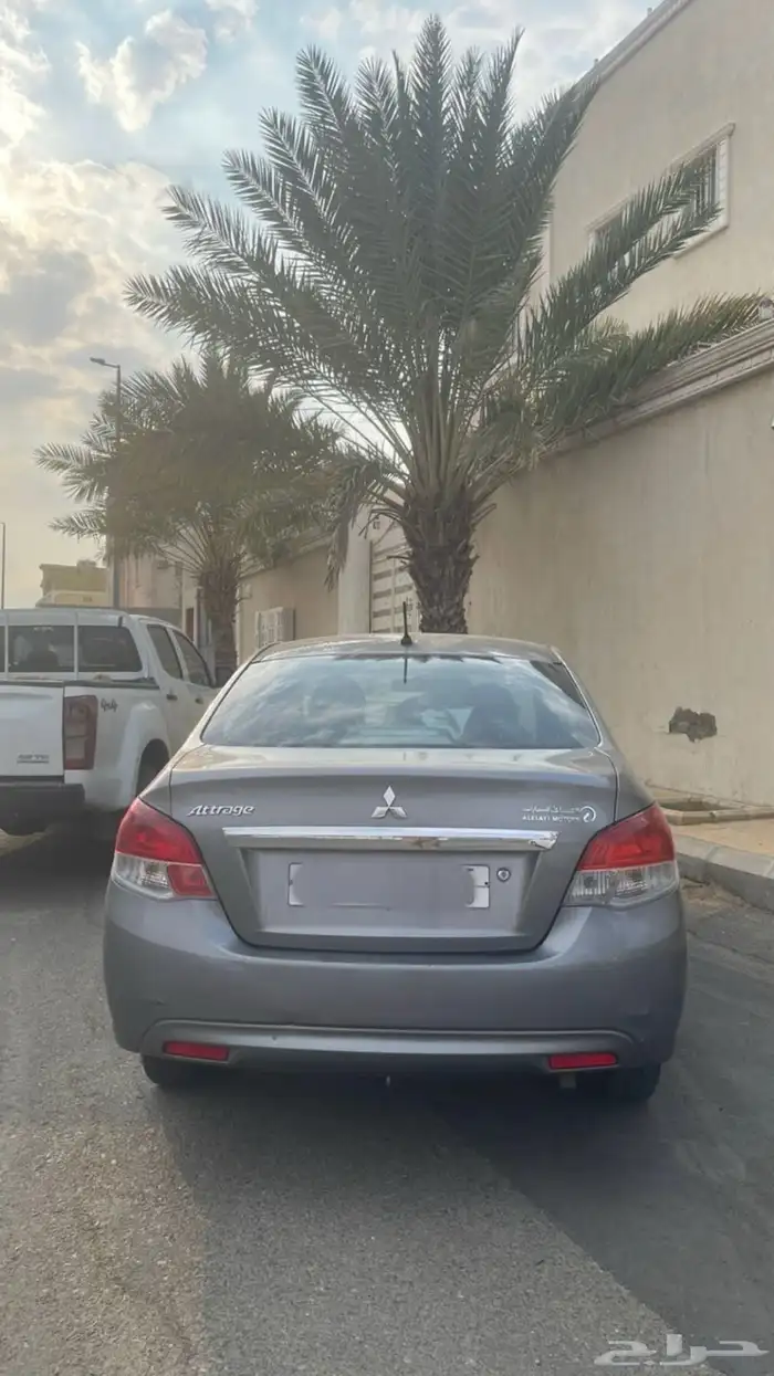 اتراج 2019 ممشى 244 2