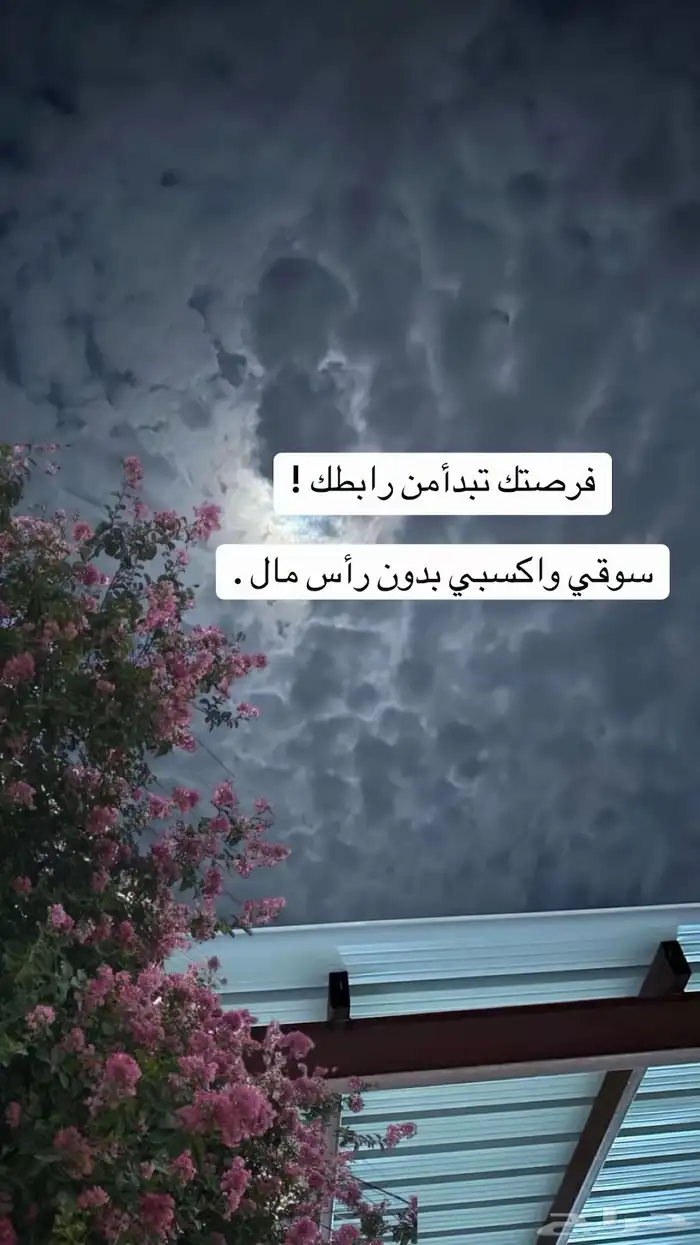 فرصة عمل من بيتك تحقق لك ارباح من جوالك 2