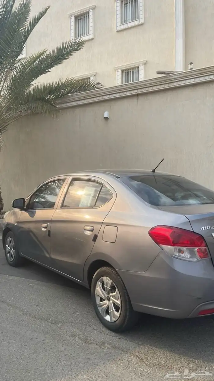 اتراج 2019 ممشى 244 1