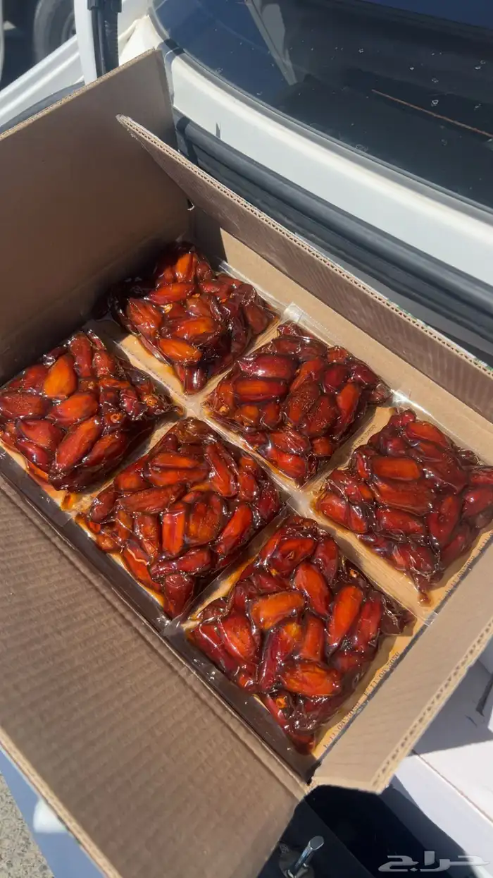 تمر صفري حبه كبير اشعل تمر وادي ترج بيشة 1