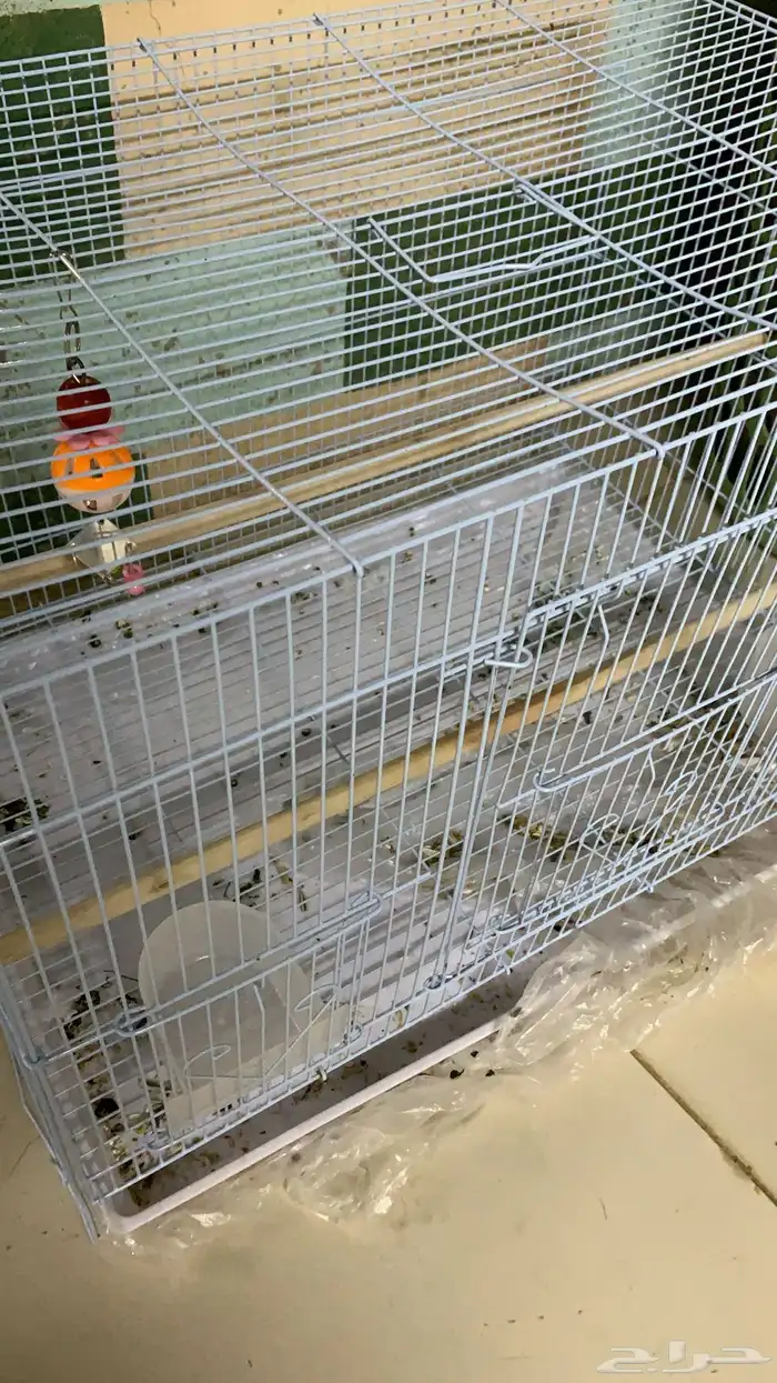 قفص كروان 601 0