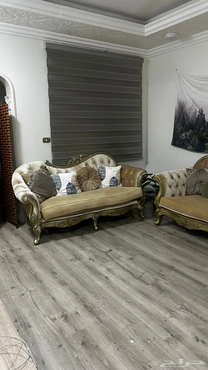 كنب قطعتين مع المخداث للبيع 2