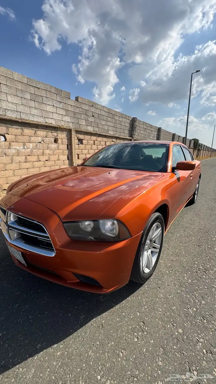 تشارجر20116 سرندل 4