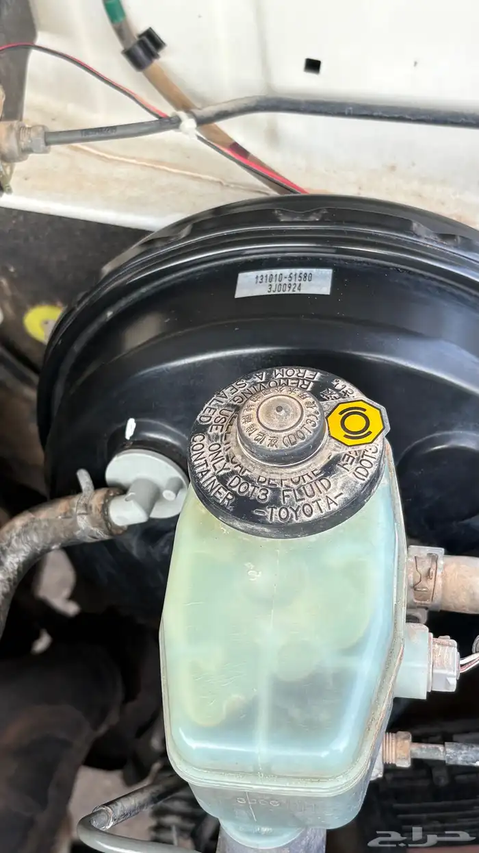 ربع 2014 وكالة شد بلد 14