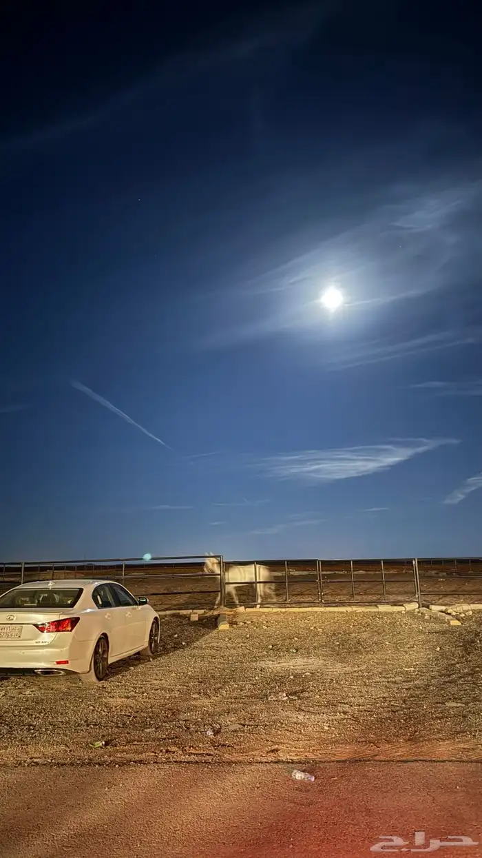 اسطبل vip للايواء والعسف والتدريب شمال الرياض 7