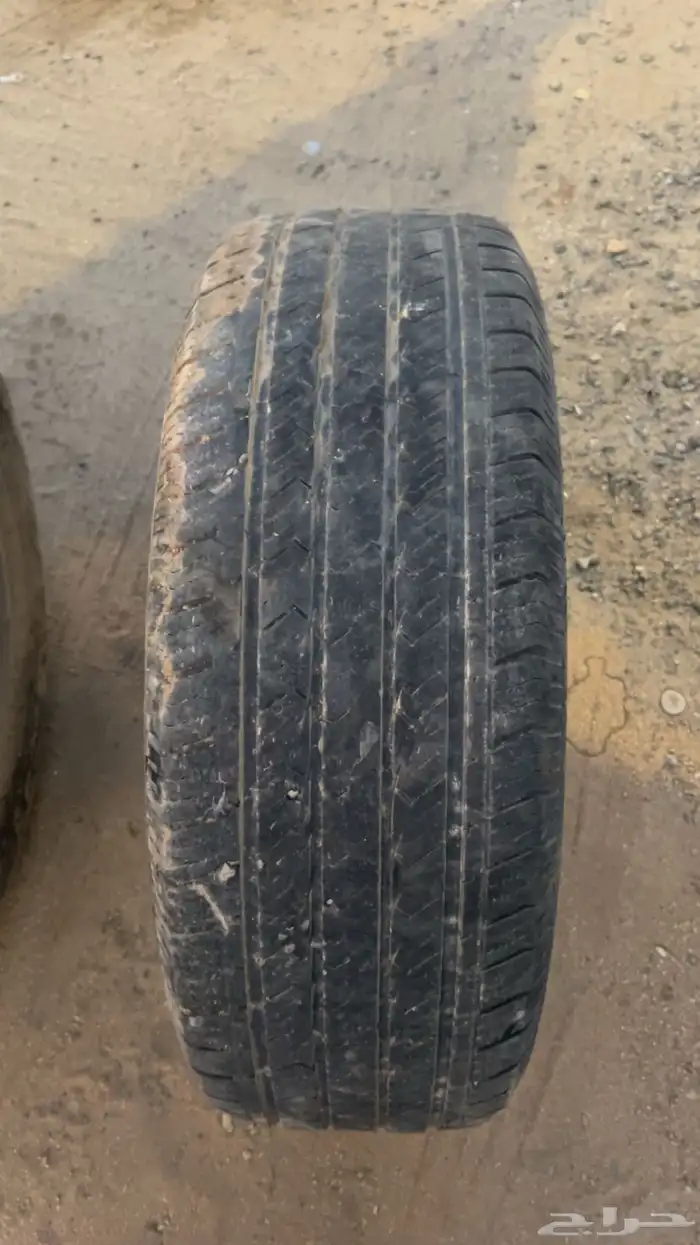 عرض كفرات عام 2020 مخزنه في المخزن 2