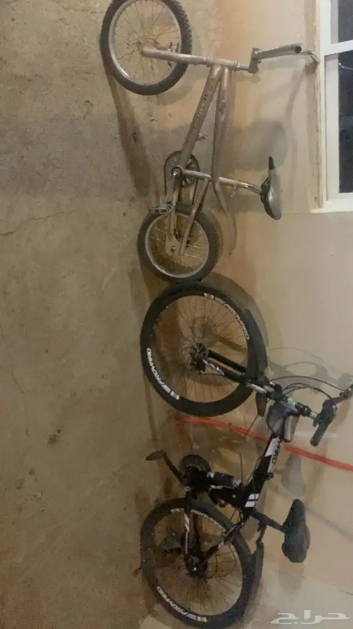 سيكل رياضي سيكل كوبرا مقاس17 0