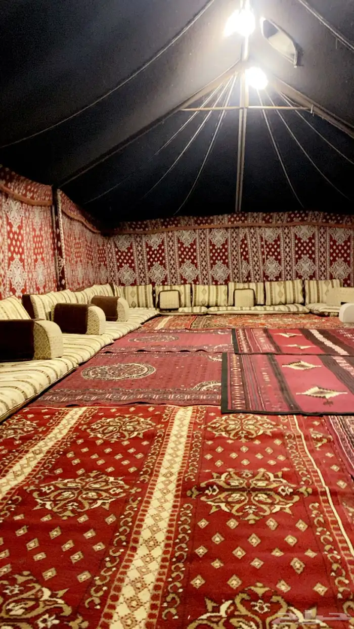 مخيم قسمين 15