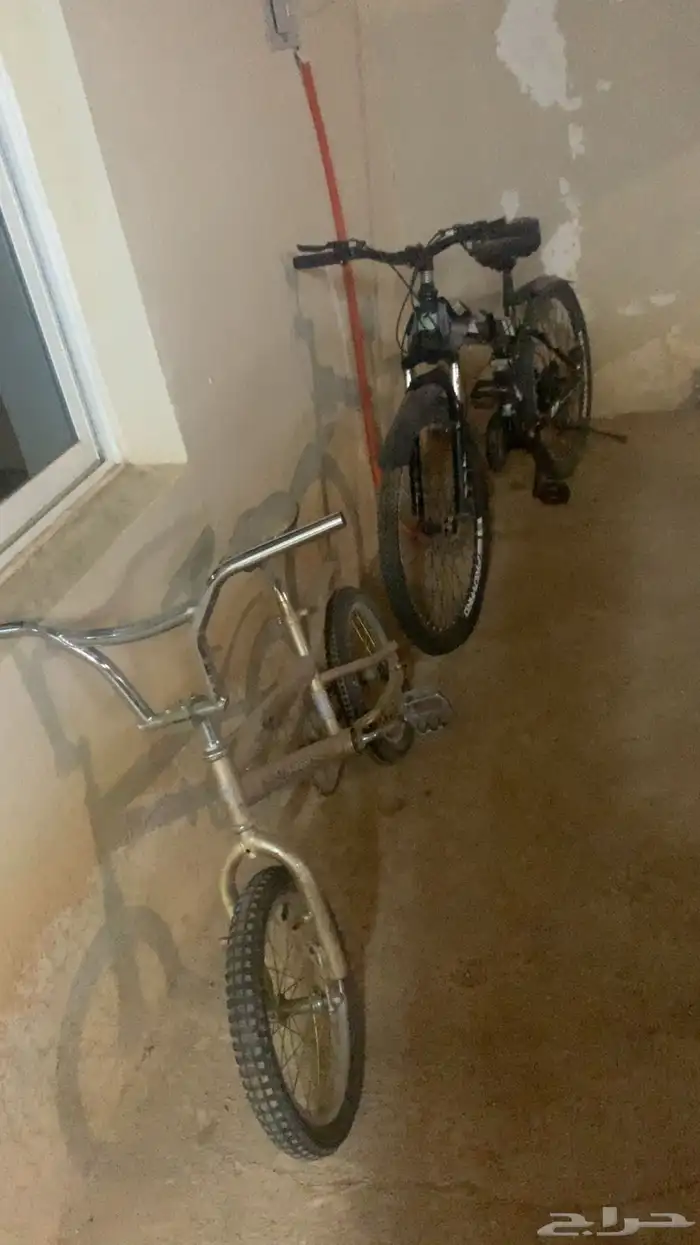 سيكل رياضي سيكل كوبرا مقاس17 1