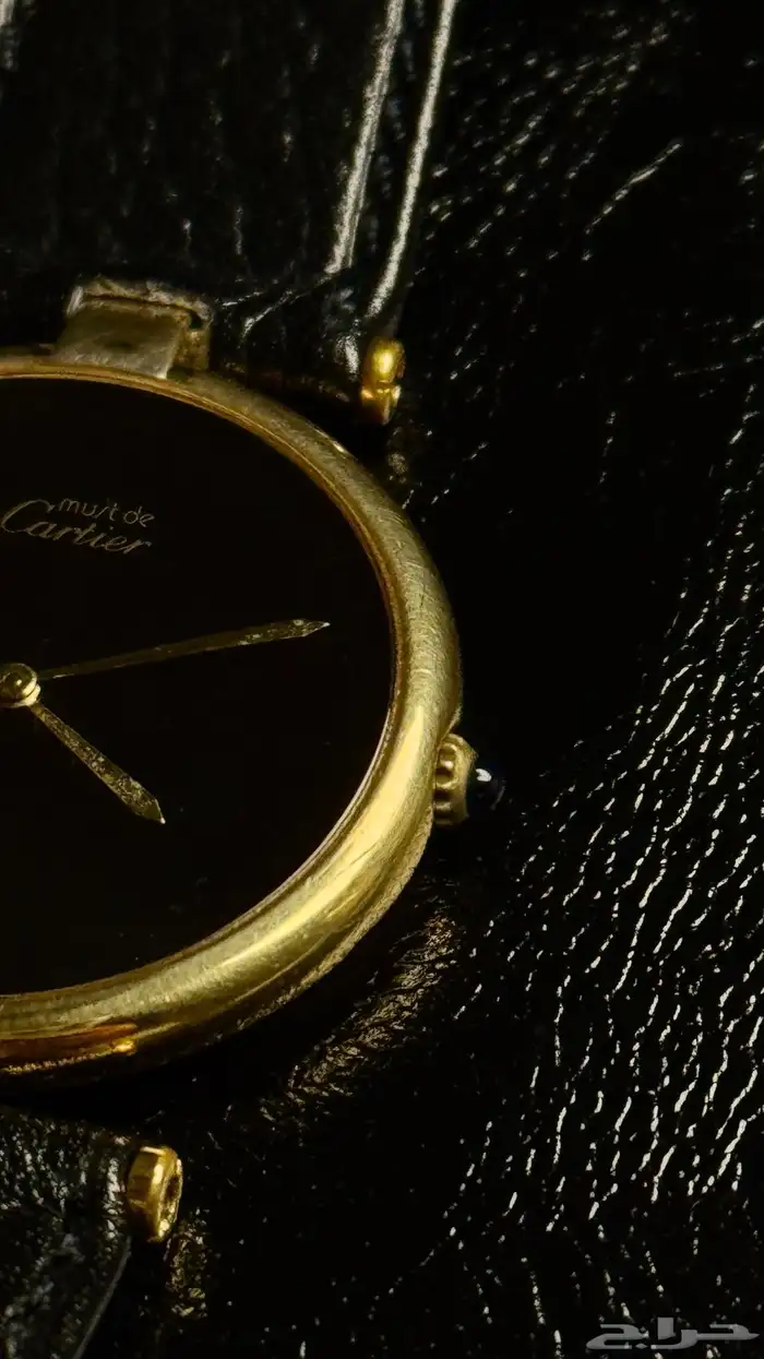 كارتييه فنتج 3