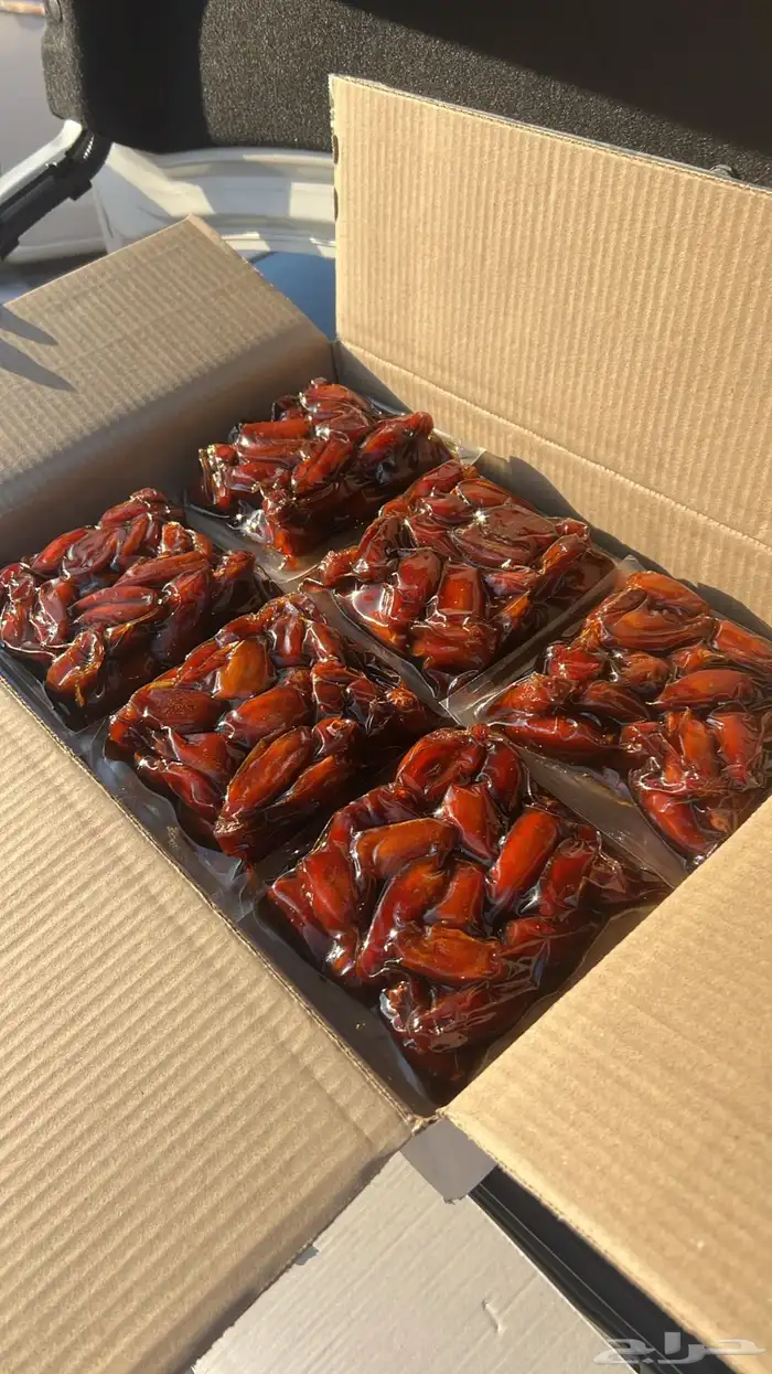 تمر صفري حبه كبير اشعل تمر وادي ترج بيشة 0