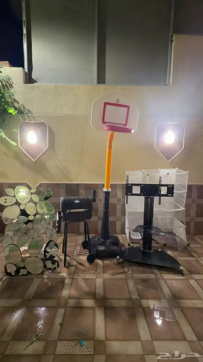 لتزاوج بسعر200 قط برتش مسجل يوجد قطط من الانتاج للبيع 0