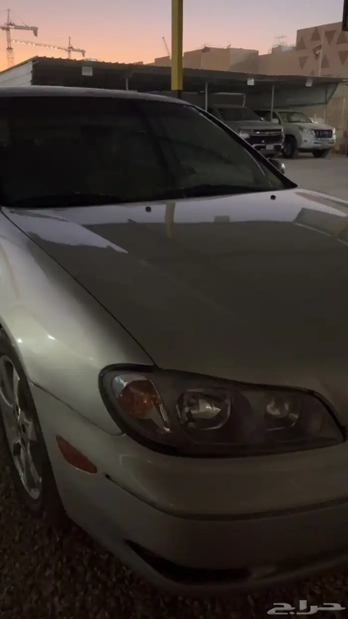 مكسيما 2003 للبيع 4