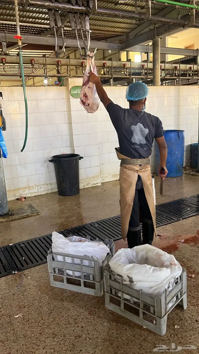 ذبيحتك لباب بيتك 0