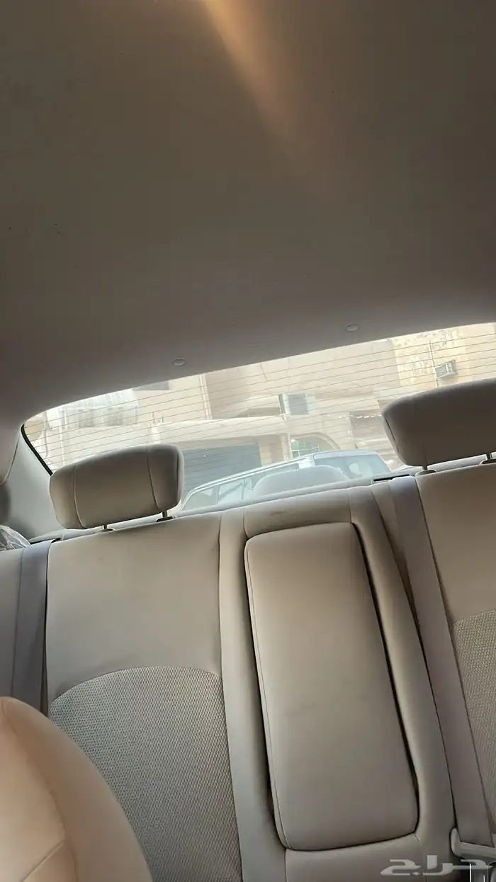 صني نظيفه 2022 10