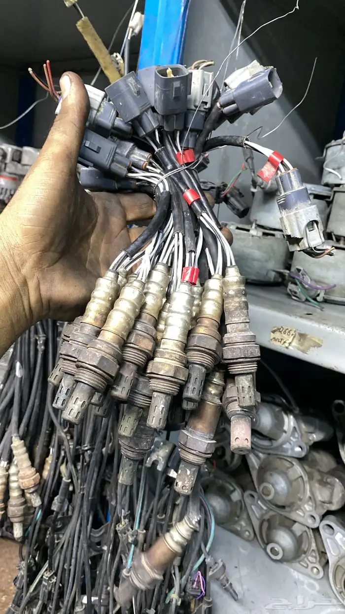 حساسات شكمان يارس 0