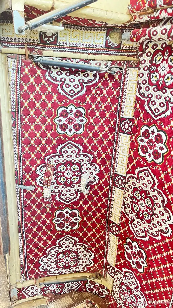 فيبر رحلات ددسن 5