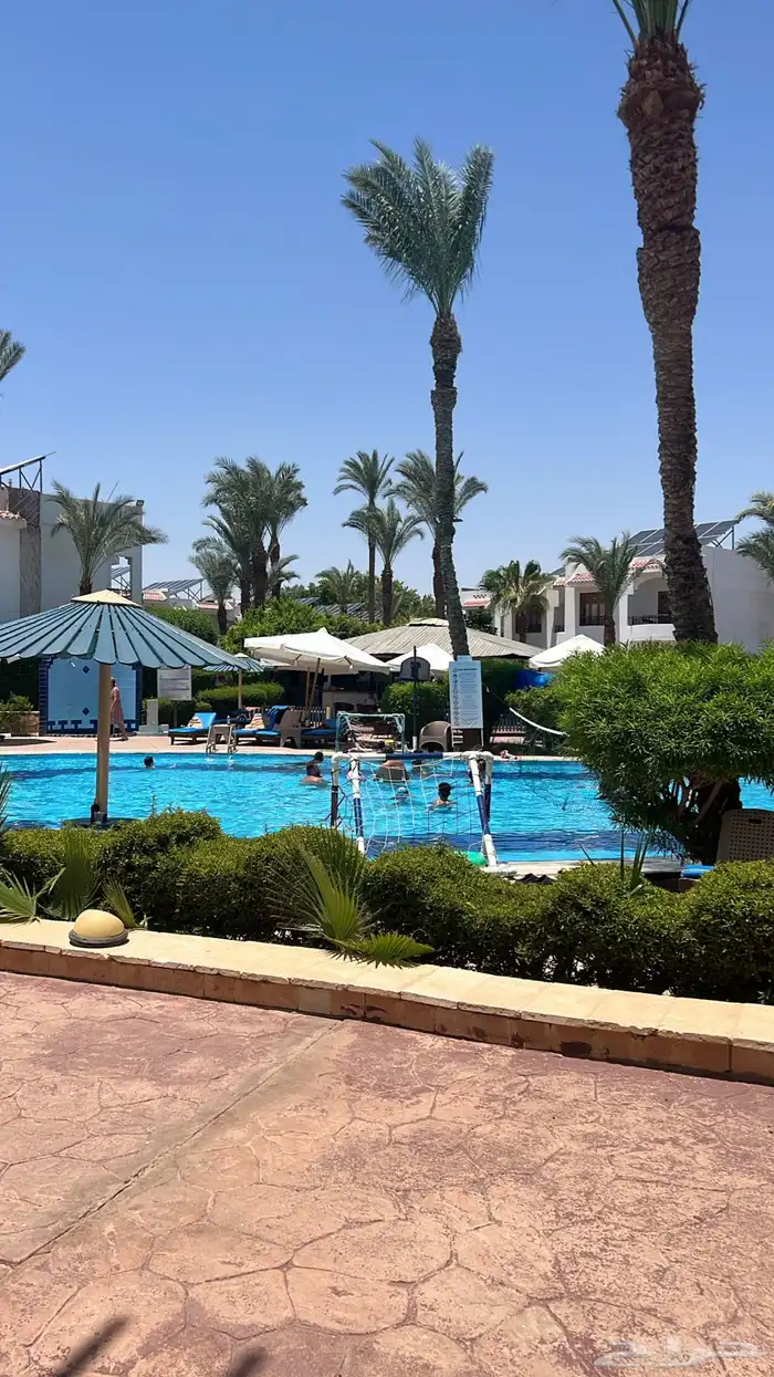 مكتب ابو رغد السياحي 1