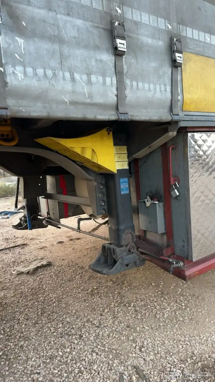 ستاره شمتز 20