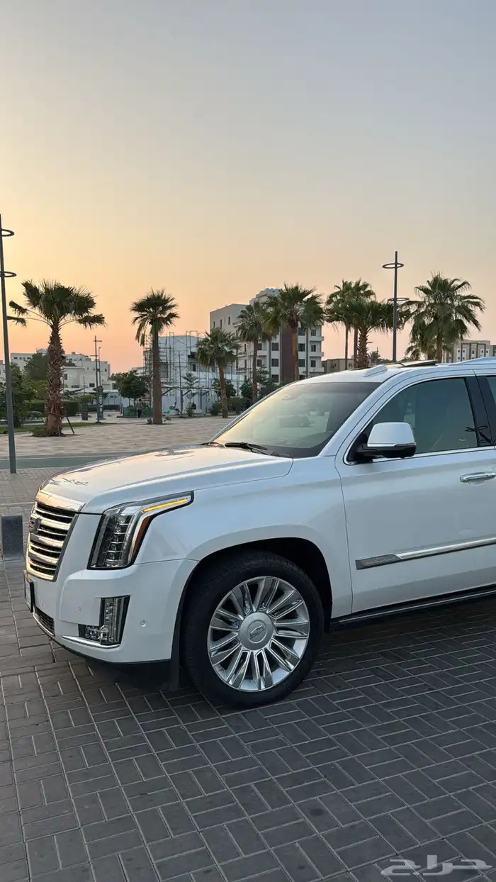 كداك اسكاليد فل الفل 2018 1