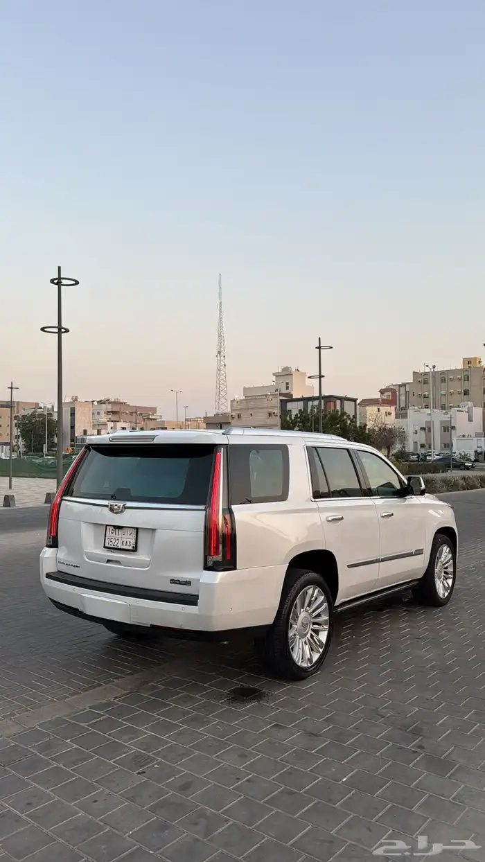 كداك اسكاليد فل الفل 2018 21