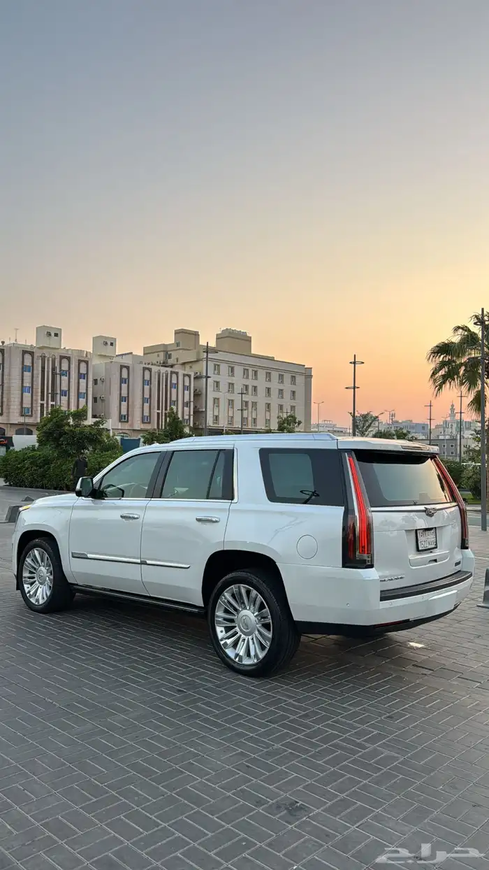 كداك اسكاليد فل الفل 2018 24