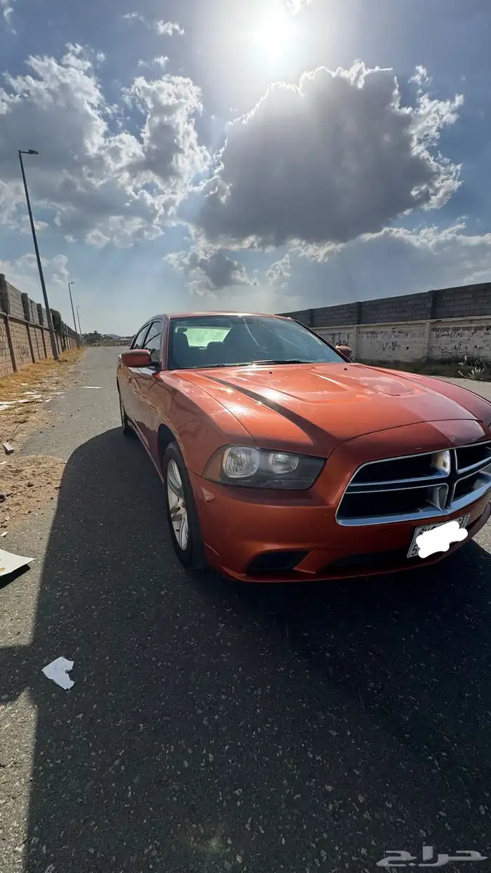 تشارجر20116 سرندل 7