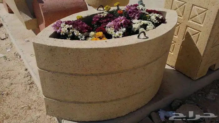 حجر نجرسي 10