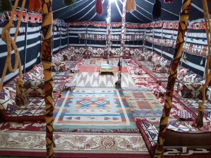 خيم أرب يه بيت شعر قهوجين. صبابين 8