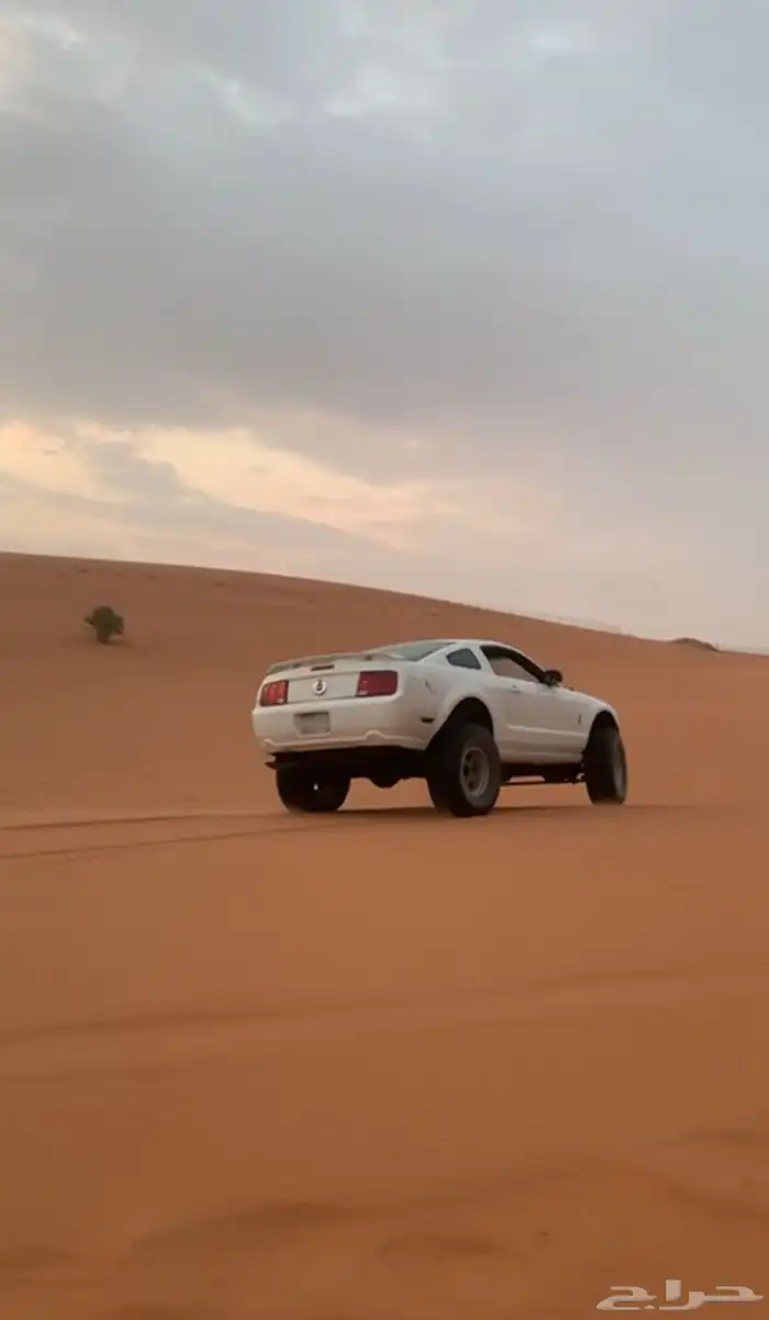 موستنق دبل 2