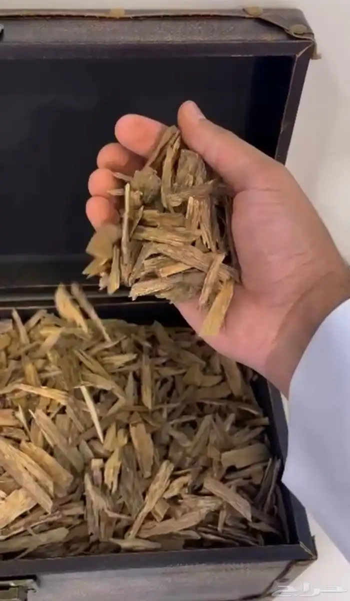 عود طبيعي كلمنتان مالينو فاخر 0