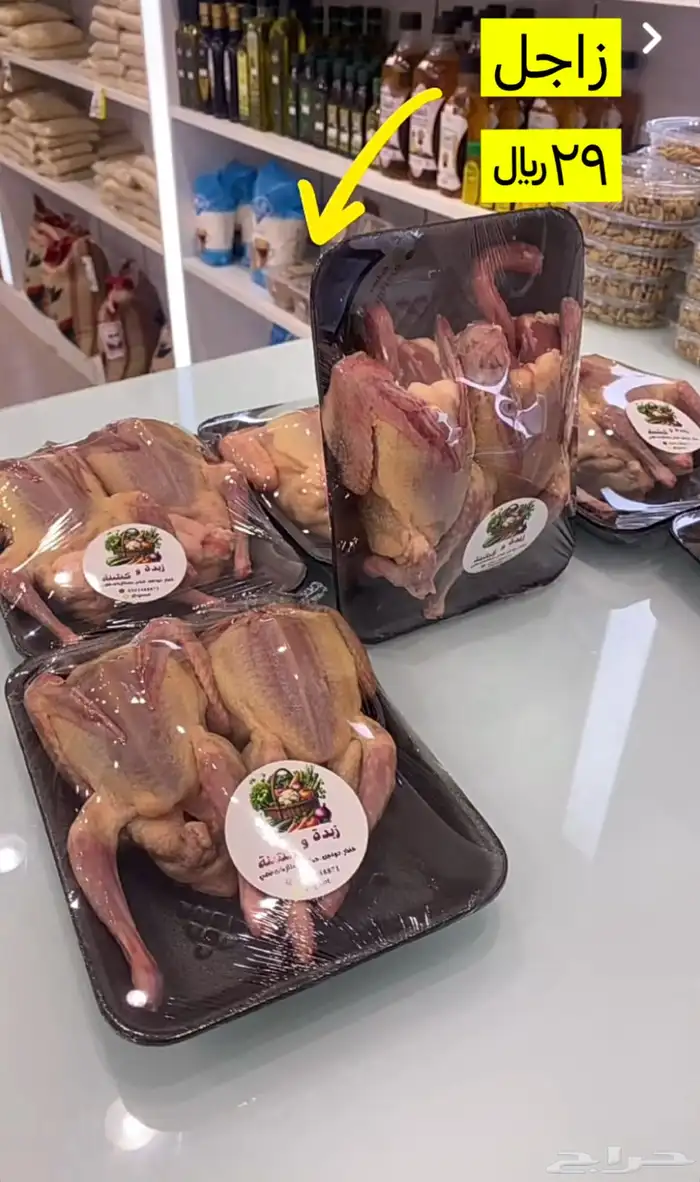 فراخة حمام زاجل شرط شحم ولحم وطعم 1