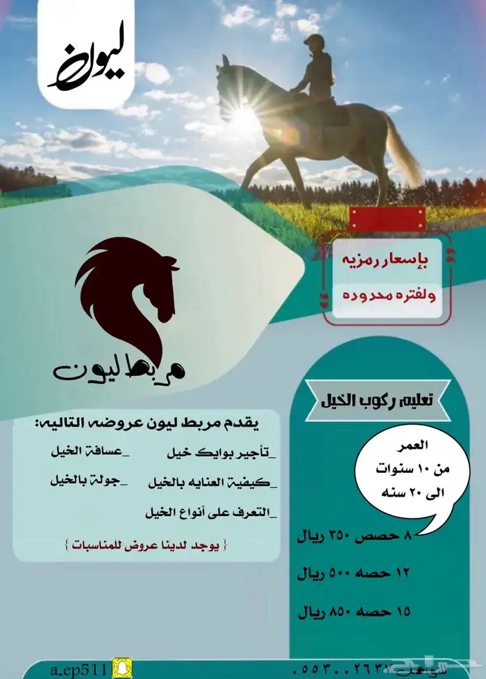 تعليم وركوب الخيل 0