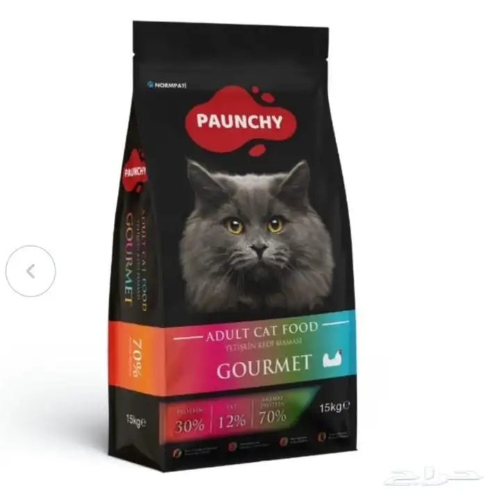 أكل قطط بانشي (PAUNCHY) 2