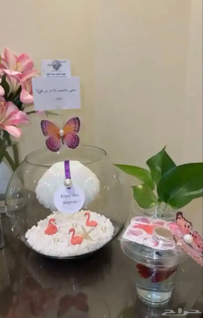 سمك فايتر بكل احتياجاته 10