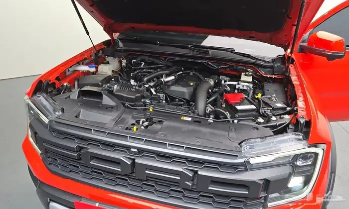 رينجر رابتر 2024 7