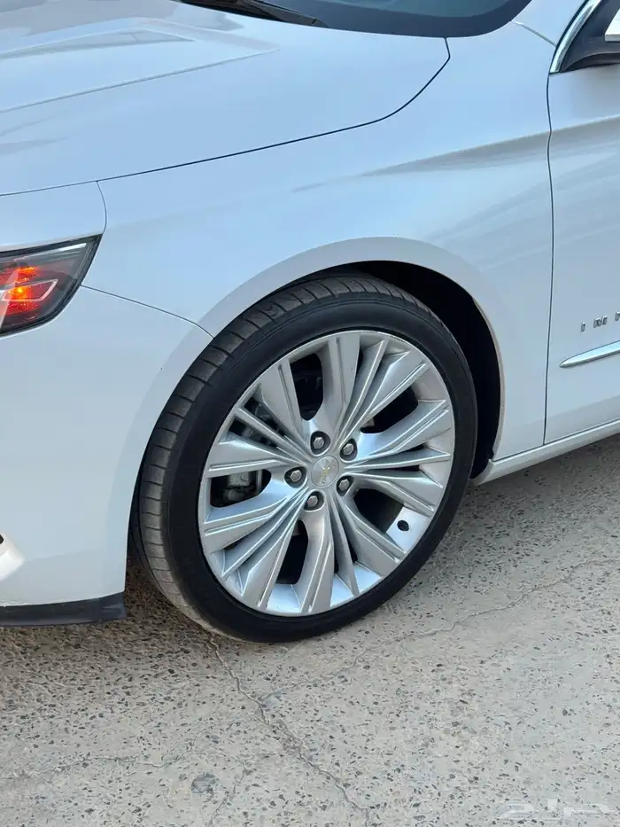 امبالا 2018 بريمير فل كامل سعودي 22