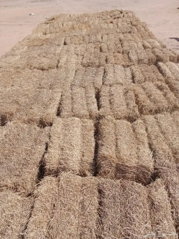 اعلاف برسيم 5