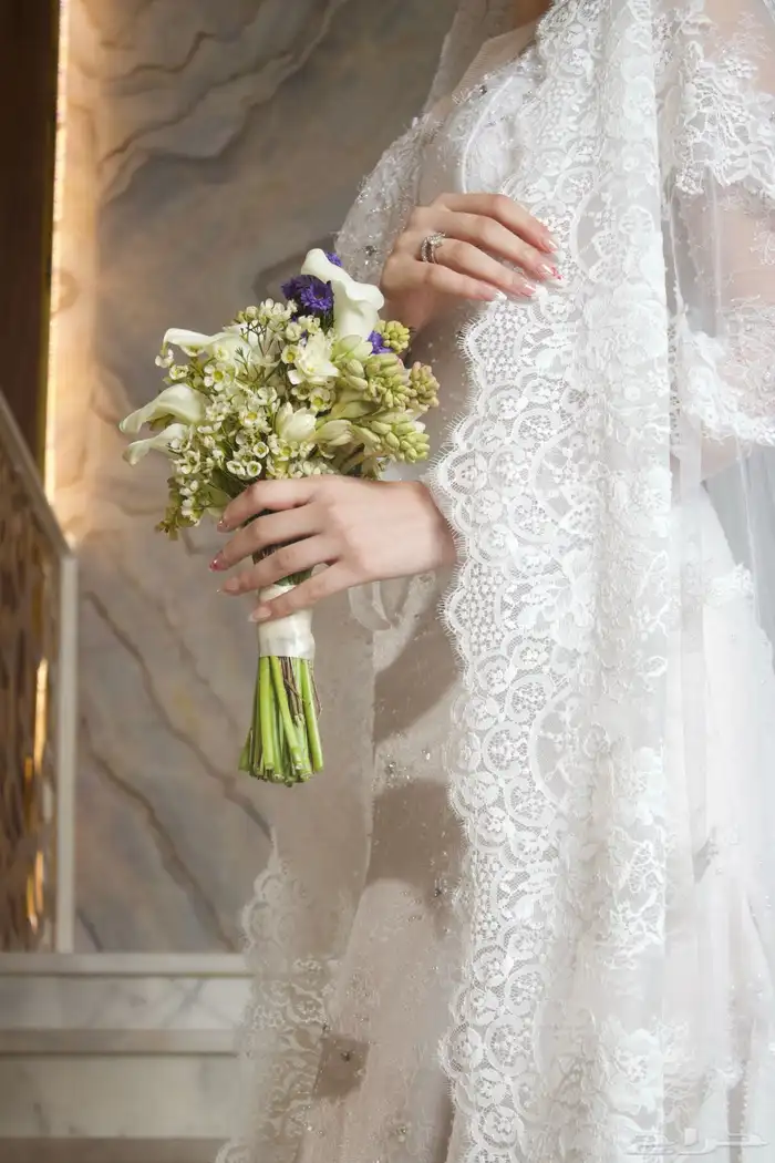 مصورة كاميرا الصور عدد مفتوح 7