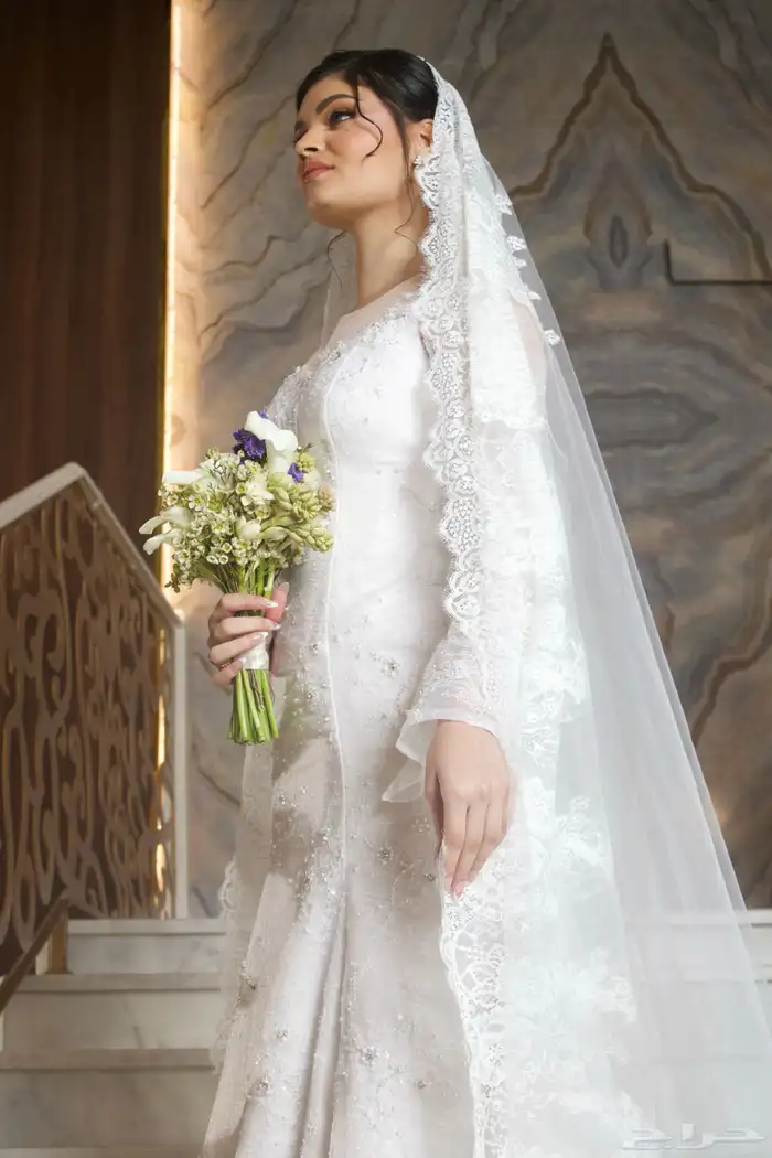 مصورة كاميرا الصور عدد مفتوح 6