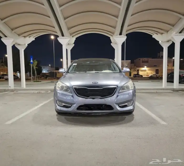 كادينزا 2012 فل الفل 8