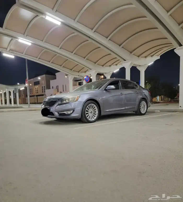 كادينزا 2012 فل الفل 1