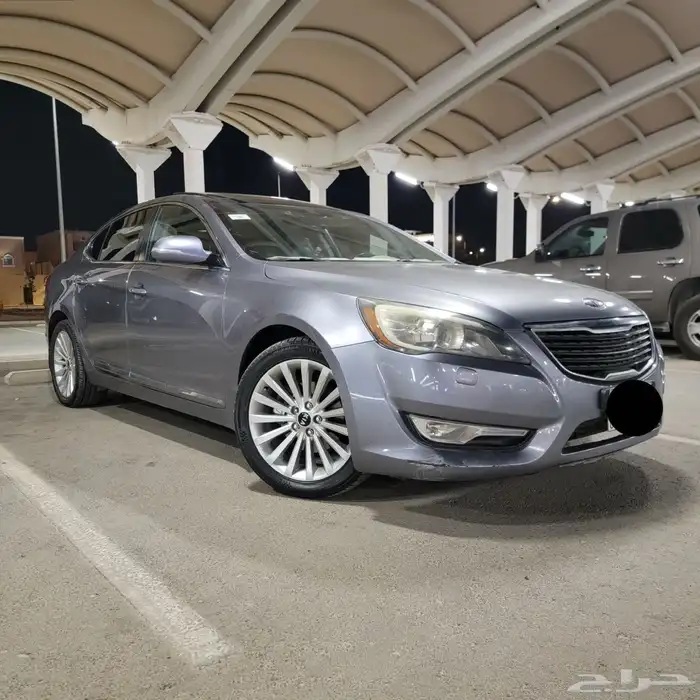 كادينزا 2012 فل الفل 10