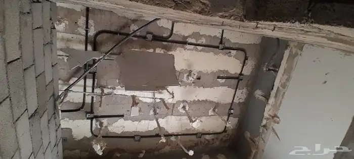 شركه الرمز الصاعد 20