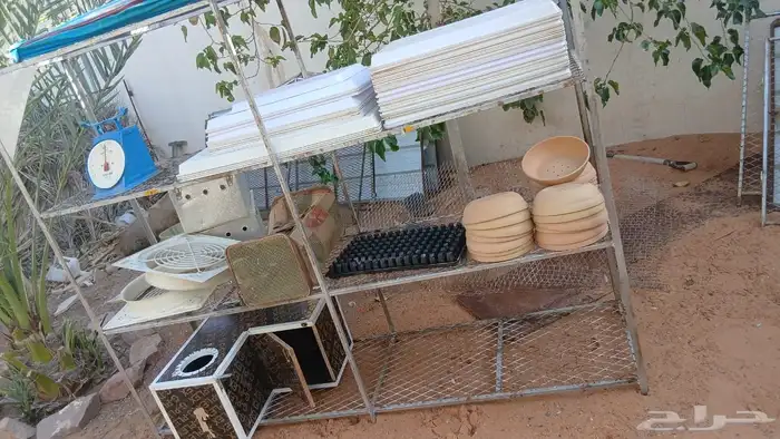 فقاسات   شبوك طيور  حضانات بيض للحمام 6