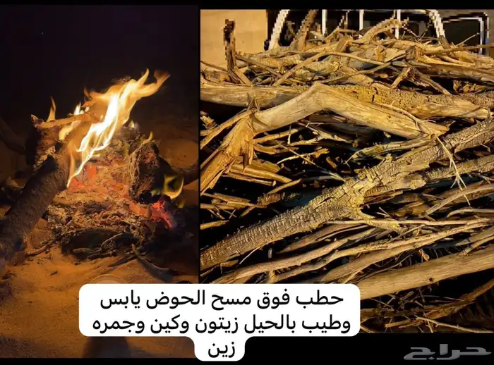 زيتون وكين من مزرعة الوالد الله يرحمه 0