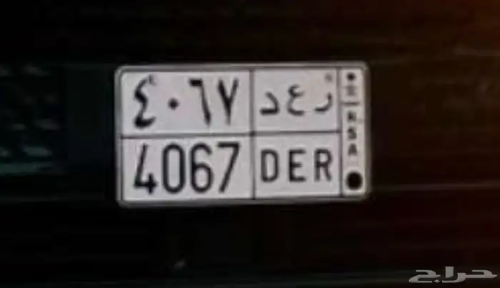 لوحة مميزة للبيع ( رعد ) 0