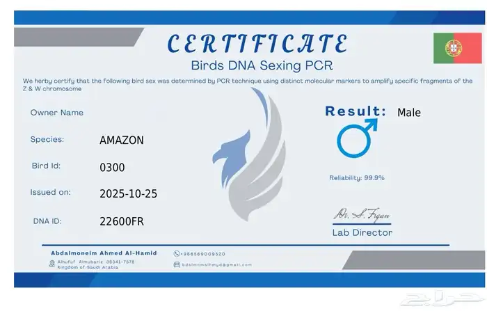 ذكر ببغاء يلوناب 0