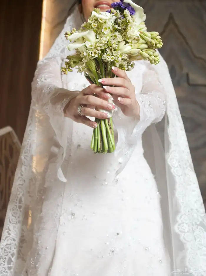 مصورة كاميرا الصور عدد مفتوح 4