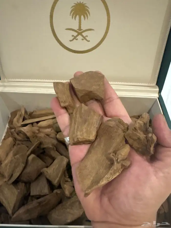 عود مروكي طبيعي 100 100 1